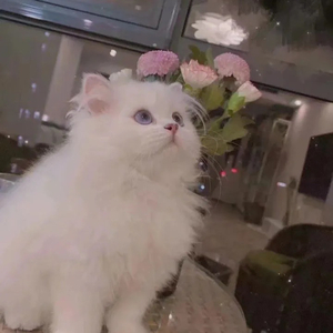 阿拉斯加海湾.wav