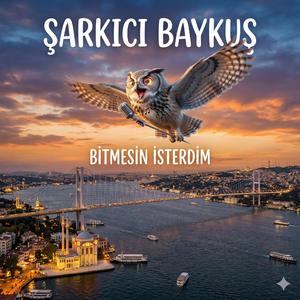 BİTMESİN İSTERDİM