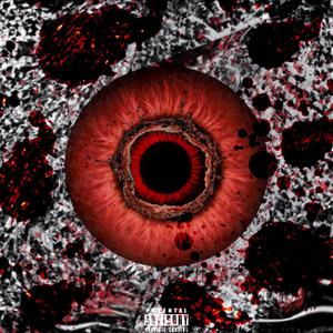 19号游轮的沼泽地