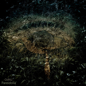 Pareidolia
