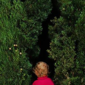 Luna, lettere e leoni