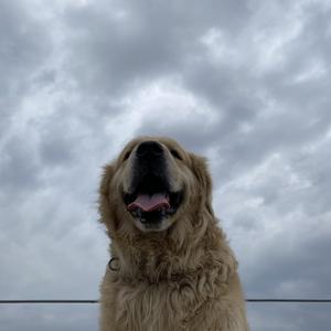 你笑起来真好看（翻自 李昕融）