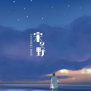 我不是你的宋冬野伴奏