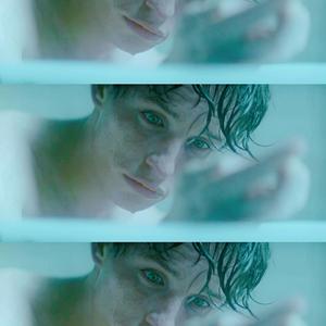 Bleeding Love