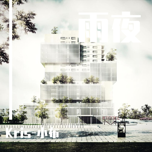 雨夜（轻音乐）