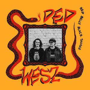 Red Belly Black Snake