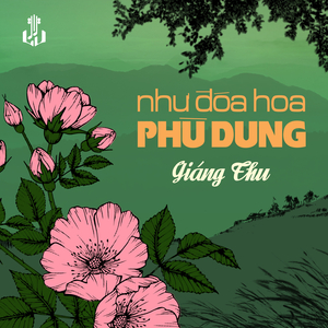 Như Đóa Hoa Phù Dung (2025 Remaster)