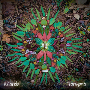 Tangará