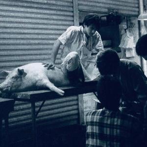 万拒（Cover:就是南方凯）