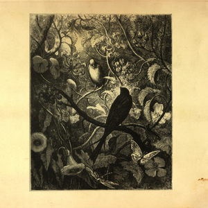 Synchronize (Radio edit)