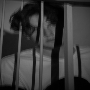 Великолепный пес