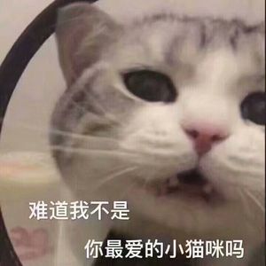 命运