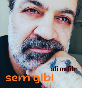 Sem Gibi