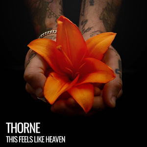 This Feels Like Heaven