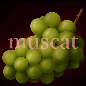 Muscat