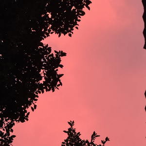 橘色晚霞里的爱