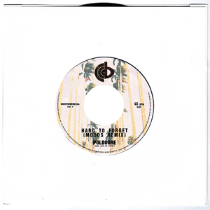 Hard To Forget (Moods Remix)