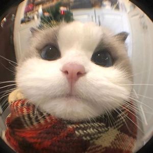 回不去的爱（纯音乐）