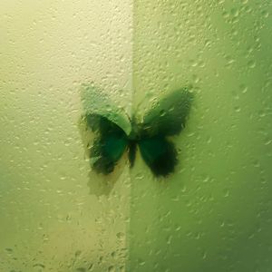 泡沫（抒情片段）