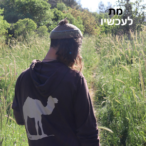מת לעכשיו