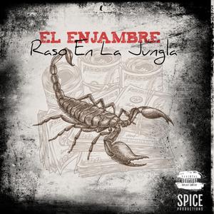 El Enjambre