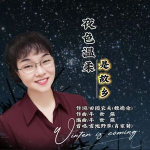 夜色温柔是故乡 -野草