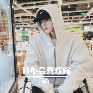 我不会喜欢你（翻自 陈柏霖）