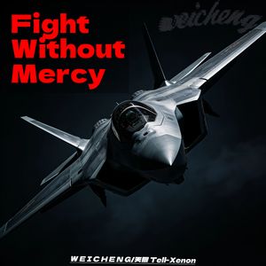 Fight Without Mercy