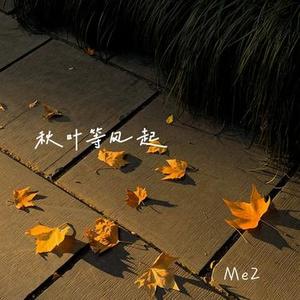 秋叶等风起