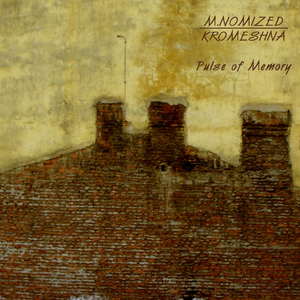 Electronic Taxonomy Of Backyard (Original)