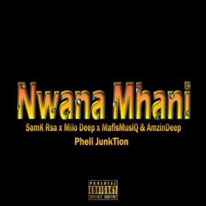 Nwana Mhani (feat. Samk rsa, Pheli Junktion, Amzin Deep & Mafismusiq)