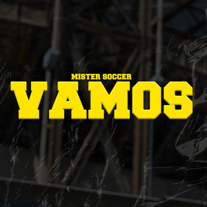 VAMOS