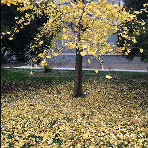 《五年以来》词曲唱 赵鑫