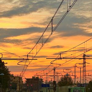 阿尔茨海默的爱