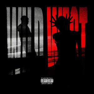 WILD WEST (feat. Outstounding)