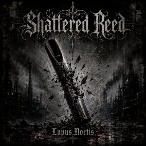 Shattered Reed ( (Inovation Mix)