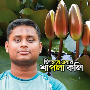 শাপলা কলি