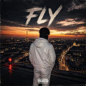 Fly