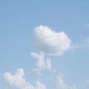 爱情毒药