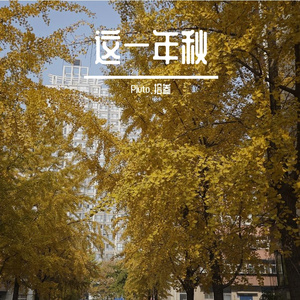诗篇 伴奏