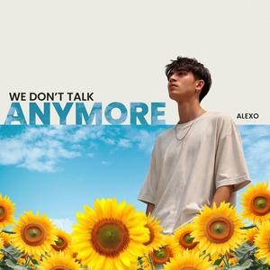 We Don't Talk Anymore