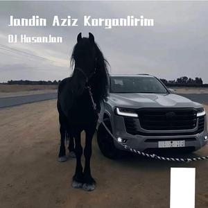 DJ HasanJan-Jandin Aziz (Remix)（DJ HasanJan remix）