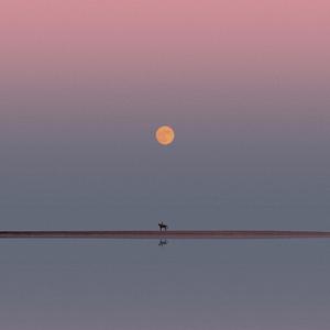 关于这个夏天的回忆