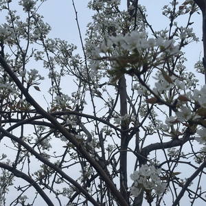 《我带不走你 你也留不下我》