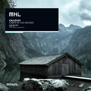 Cabin In The Woods (Ewan Rill Remix)