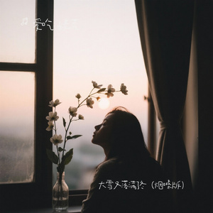 大雪又落满了冬（烟嗓版）