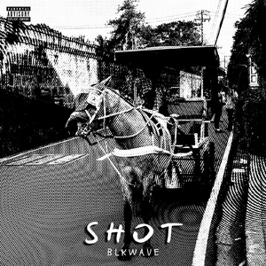 SHOT (Sexy Hoes Out Tonight)