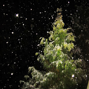 nothinon me zang （remix）