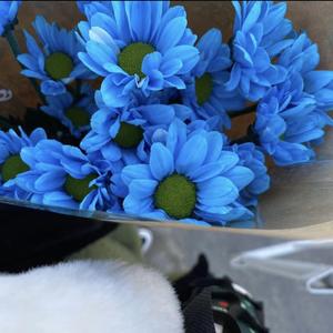 Pen-G-Say Again（Astro Cay remix）