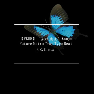 【FREE】“采样庞龙”Kanye Future Metro Trap Type Beat